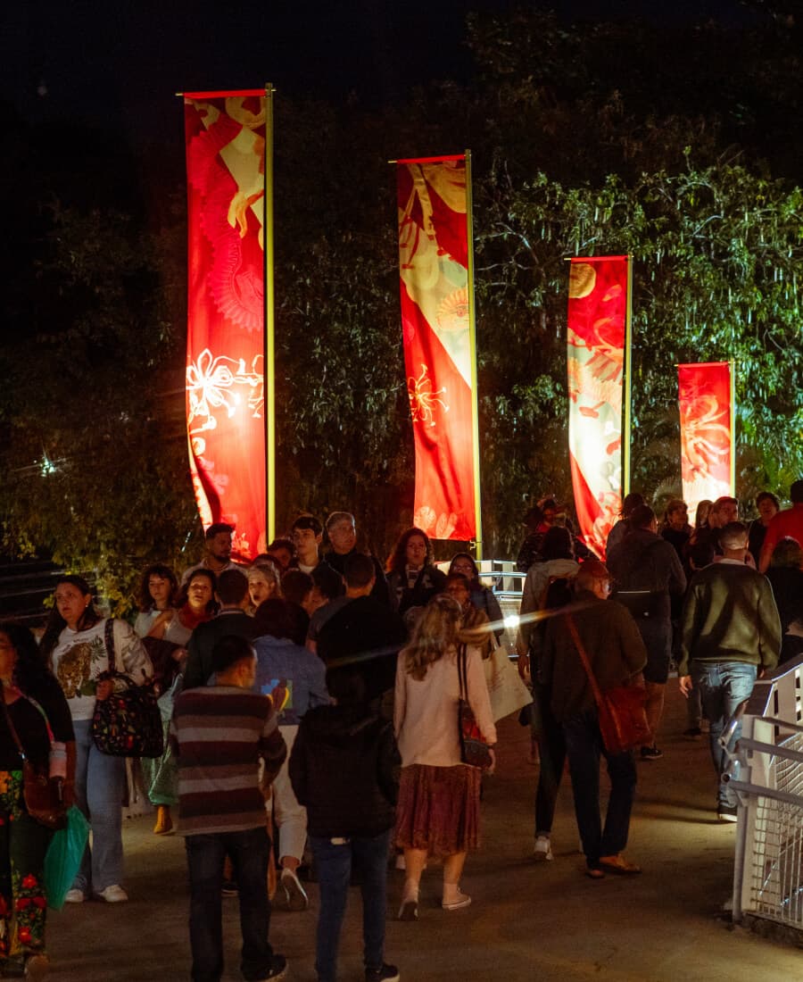 FLIP Mulheres que Transformam